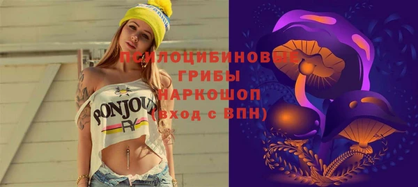 бошки Алзамай
