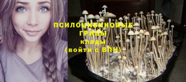 кокаин премиум Алексин